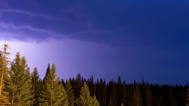 Dramatic lightning illuminating a dark forest landscape during a storm. Captivating natural phenomenon showcasing the power of nature and its beauty