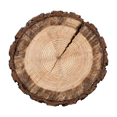 Fototapeta premium Tree trunk cross section on transparent background