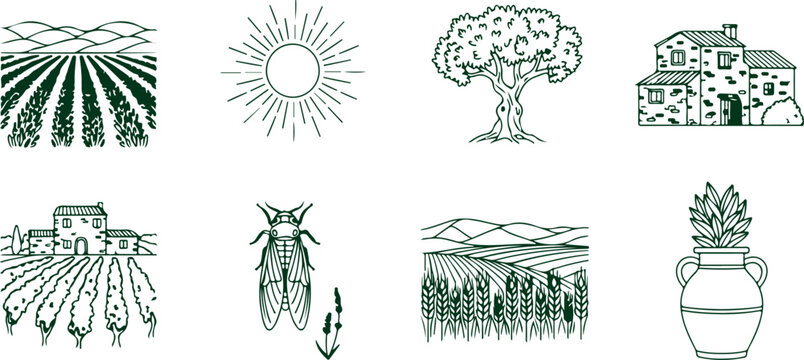 Rural farm landscape with wheat fields vineyards farmhouse olive tree and cicada insect representing agriculture nature and countryside idyllic scenes.