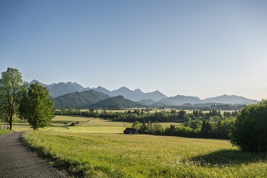 Scenic View of Blooming Summer Meadows Near Schwangau and Fuessen in Bavaria Germany, Panoramic Alpine Landscape with Afternoon Sun, Green Fields, Wooden Huts and Ammergau Alps Mountain Peaks