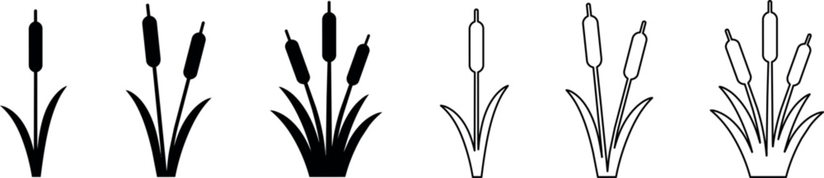 A collection of cattail plants in black and white outline vector style, suitable for nature-themed designs and illustrations