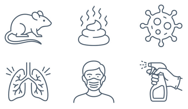 Minimalist line art vector of hantavirus transmission showing rat, feces, respiratory illness in lungs, protective face mask, and hand spraying disinfectant for cleaning.