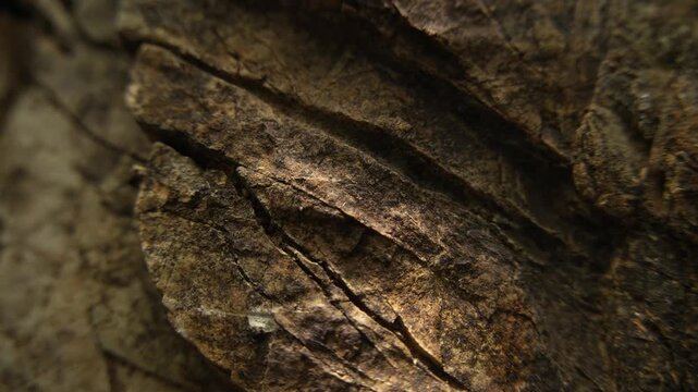 Moving sunlight across rugged stone texture in macro shot