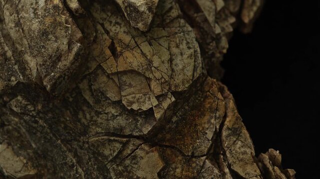 Slow camera glide across weathered stone with dark copy space