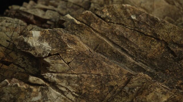 Macro tracking shot along rugged stone surface in daylight