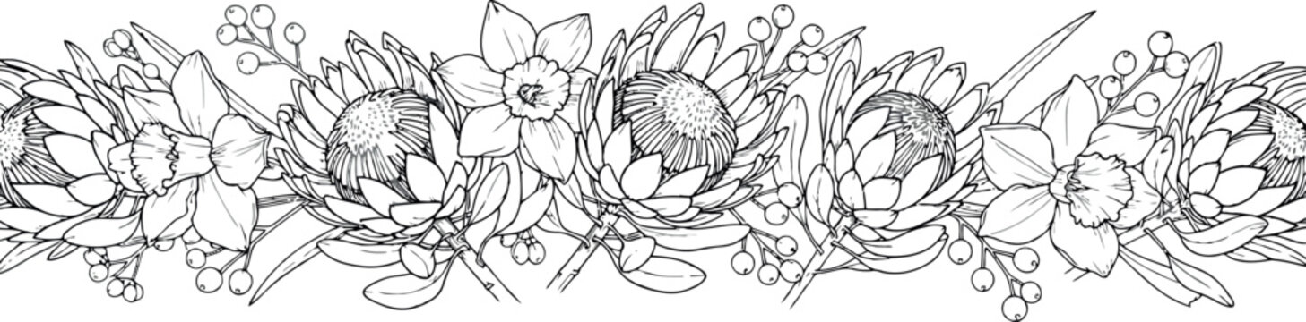 Wide horizontal decorative border with protea and daffodil botanical line art illustrations for luxury wedding invitations and elegant event stationery design