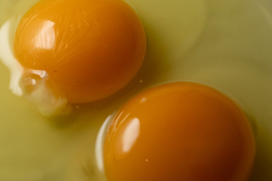 Macro close up of two raw egg yolks with smooth texture and natural golden color. Fresh ingredient concept for baking, cooking and homemade recipes.