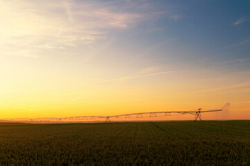 Obraz premium Agricultural irrigation system watering wheat field in summer 
