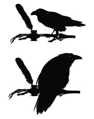 Obraz premium human skeleton hand and mysterious wise raven bird with antique feather pen and ink pot nearby - magic scholar writer black and white vector design