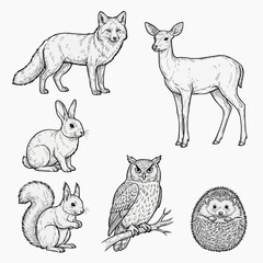Obraz premium Rabbit Collection Line Art Vector Set Isolated on White Background