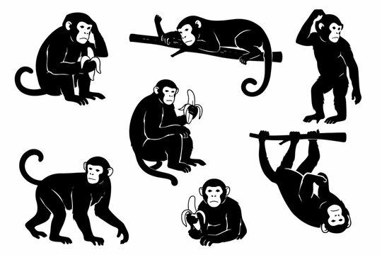 : Monkey Silhouette Icon Set White Background