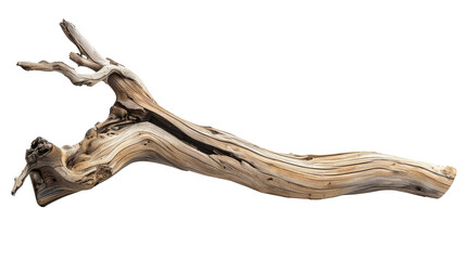 Fototapeta premium Driftwood branch on white background