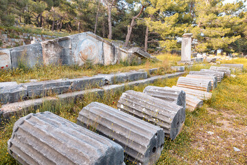 Obraz premium Priene ancient city showing fallen stone columns and fragmented architectural elements among green grass and wildflowers