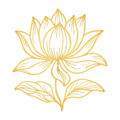 Obraz premium PNG Elegant golden lotus illustration