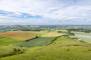 Fototapeta premium A view from Firle Beacon on a sunny summer's day in the South Downs