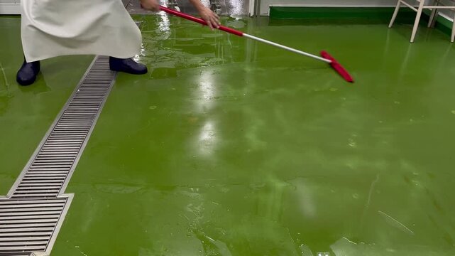Worker removing water from the production floor after cleaning operations in a food manufacturing facility. Sanitation procedure supporting workplace hygiene, food safety, and operational cleanliness.