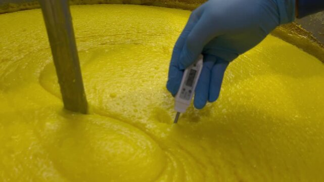 Worker measuring product temperature using a digital thermometer during food manufacturing operations. Quality control procedure supporting food safety, process monitoring, and production standard com