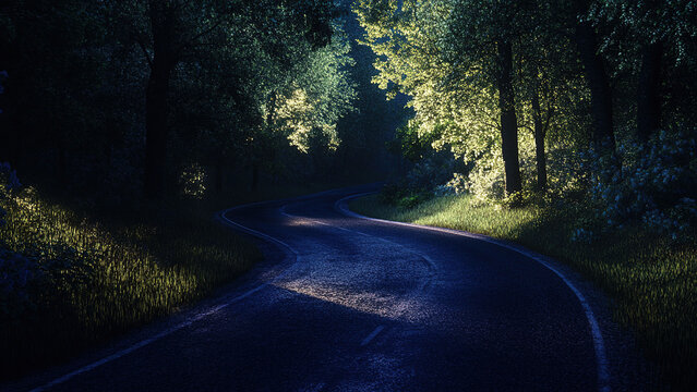road in the middle of green forest trees 