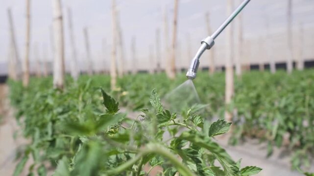 Farmer using a pesticide spray to control pests.