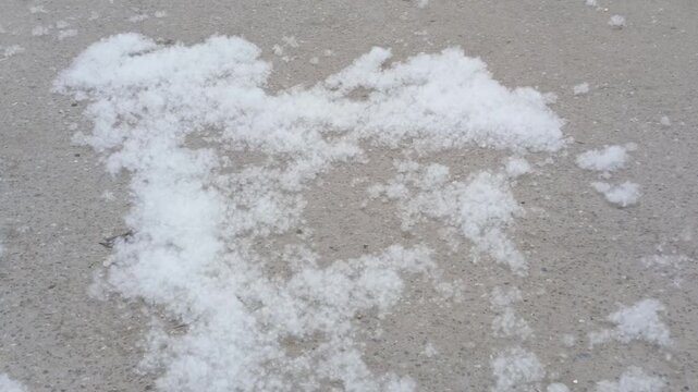 vortices of poplar fluff on an asphalt road. Fluff flies in the yard