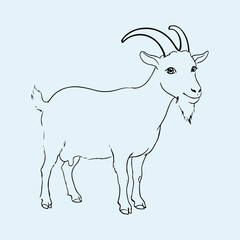 Fototapeta premium Cute Goat Vector Illustration Isolated on White Background.