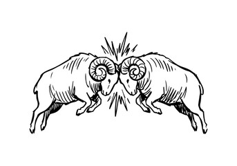 Vintage Hand Drawn Merino Sheep and Ram Sketch Vector Illustration Bundle for Farm, Agriculture, and Wool Industry Branding © Az to Design