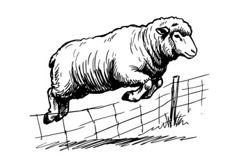 Vintage Hand Drawn Merino Sheep and Ram Sketch Vector Illustration Bundle for Farm, Agriculture, and Wool Industry Branding © Az to Design