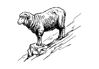 Vintage Hand Drawn Merino Sheep and Ram Sketch Vector Illustration Bundle for Farm, Agriculture, and Wool Industry Branding © Az to Design