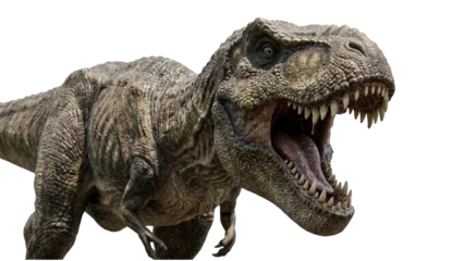 Fotobehang Dinosaurussen t rex dinosaur roaring on transparent background  © ATIQULISLAM