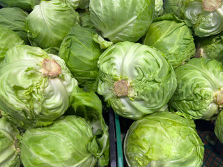 Fototapeta premium Freshly harvested young white cabbage in boxes in vegetable market