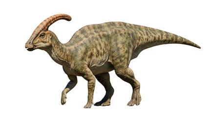 parasaurolophus dinosaur on transparent background prehistoric animal © ATIQULISLAM