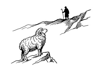 Vintage Hand Drawn Merino Sheep and Ram Sketch Vector Illustration Bundle for Farm, Agriculture, and Wool Industry Branding © Az to Design