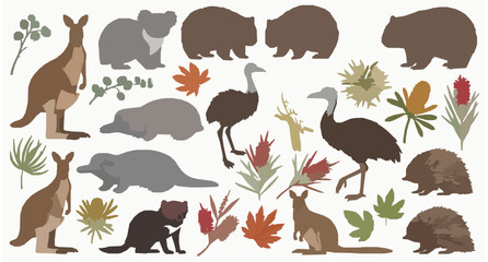 Australian Animals and Native Plants Vector Collection with Kangaroo Koala and Eucalyptus Elements © Md