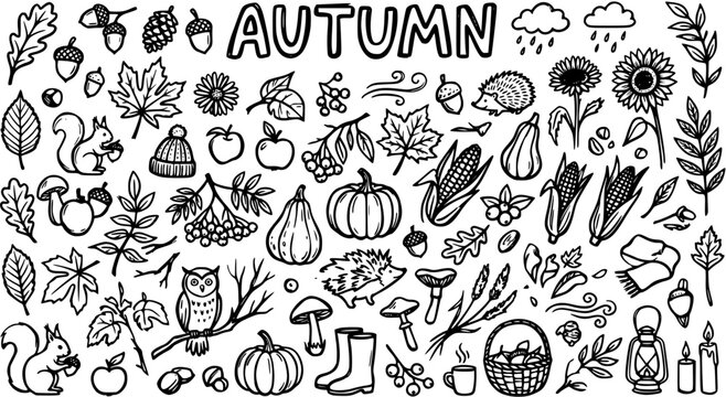 Autumn Season Hand-drawn Line Art Elements Collection. Black and White Fall Nature Objects, Harvest, and Cozy Doodles Set.