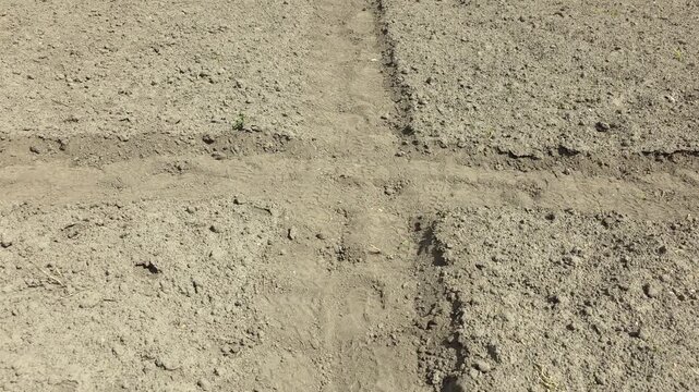 Walking on footpath between garden beds with footprints in loose soil.