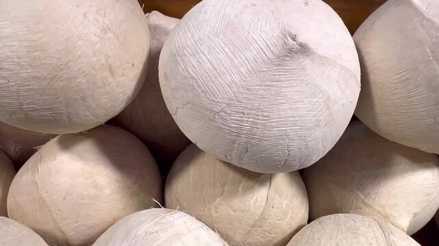 Close-up video of fresh young coconuts arranged together in a market-style display. Natural tropical fruit with light beige coconut shells, captured in soft natural lighting. Ideal for food,