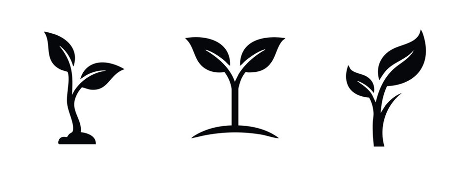 Plant sprout icons: seedling, growth, new life