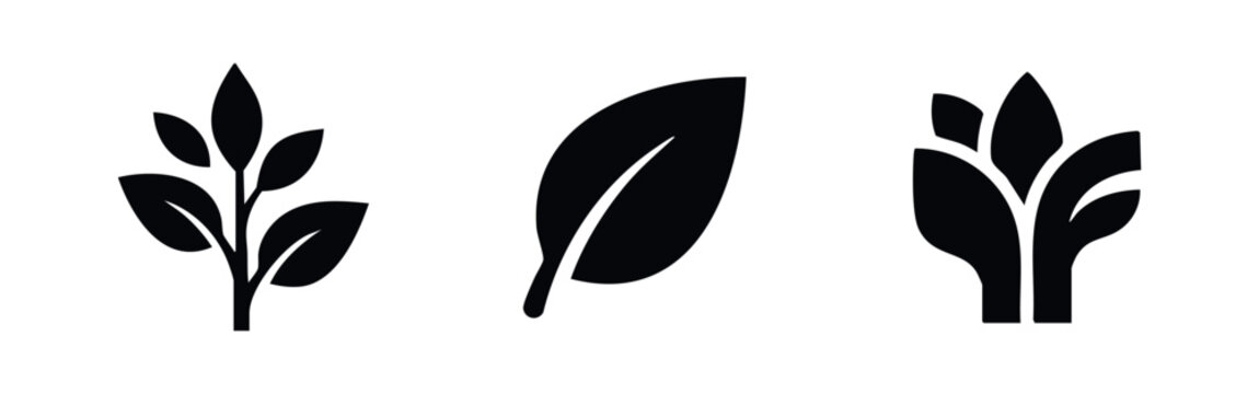Branch and leaf natural icons set, representing various plant elements.
