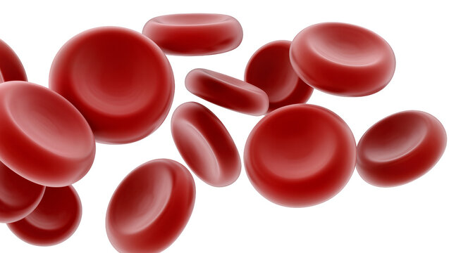 Red blood cells erythrocytes microscopic view, 3D render