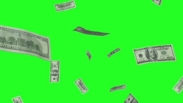 Dollar rain green screen