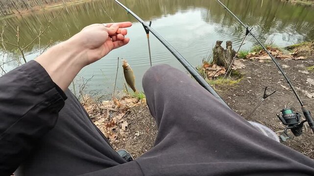 POV Angler Catching and Holding Common Roach (Rutilus rutilus) at Forest Pond