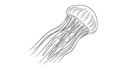 Outline drawing of a flowing jellyfish with long tentacles against a white background © Rglstrm