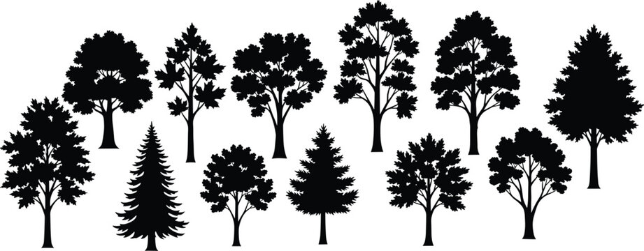 Diverse Tree Silhouette Collection Set with Deciduous and Evergreen Forest Trees Isolated Vector Illustration