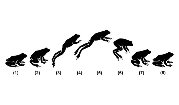 Black frog jumping sequence illustration set isolated on white background