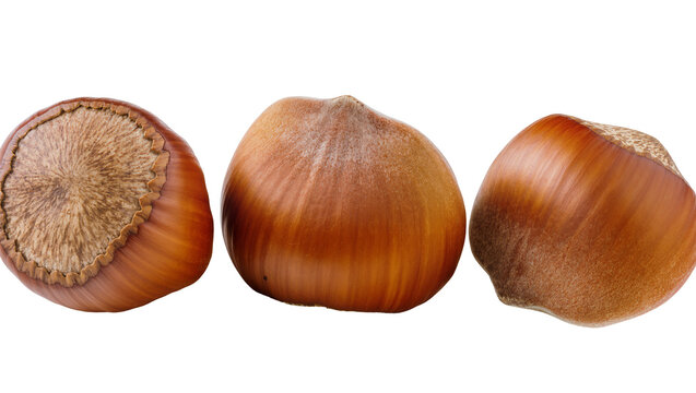 Three whole hazelnuts with brown shells and textured surfaces