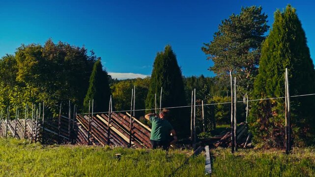 A Man is Working on a Long Wooden Fence in a Grassy Yard, Arranging and Securing the Timber Posts Under a Sunny Sky - Timelapse