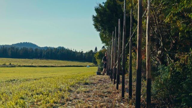 A Person is Installing a Fence Along the Edge of a Field, With Trees and Hills in the Background - Timelapse
