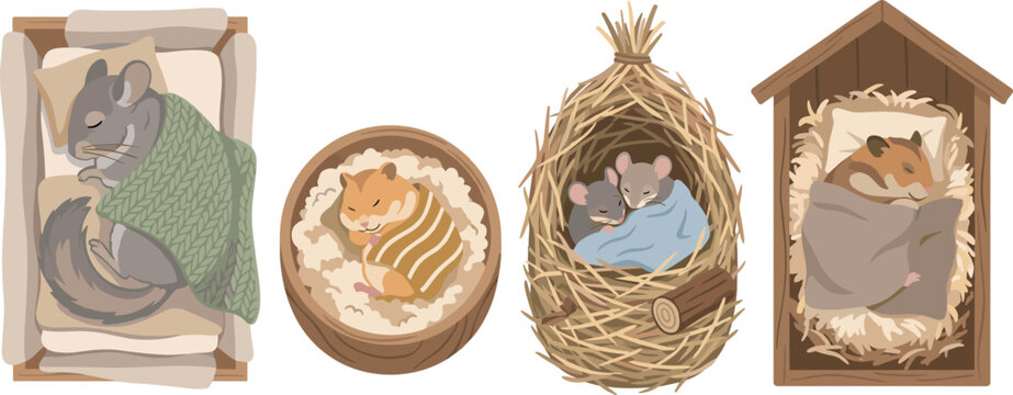 Sleeping Hamster and Chinchilla in Cozy Nest Bed and Wooden Hutch Top View Flat Vector Illustration Set for Pet Care and Animal Designs