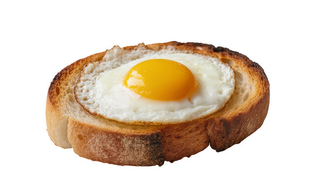 Fried egg on toasted bread slice