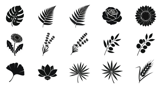 Black leaf and flower silhouettes set